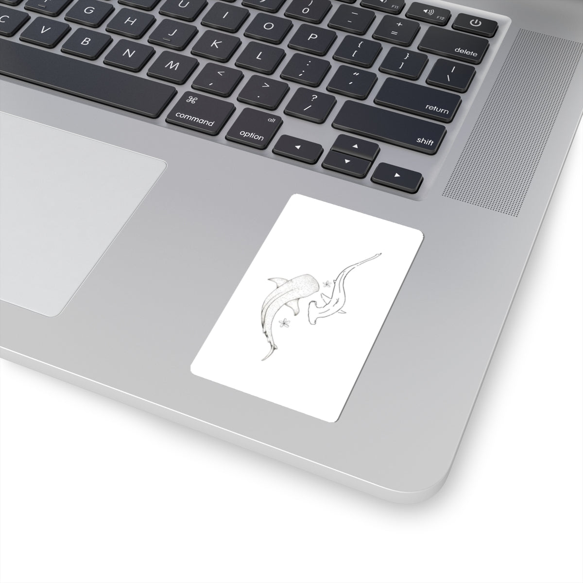whale shark sticker